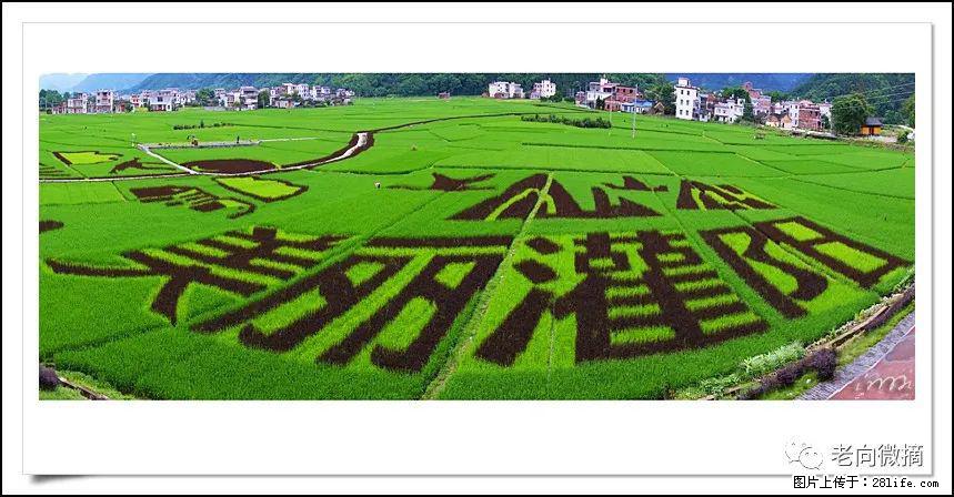 【春天,广西桂林灌阳县向您发出邀请!】开篇 - 游山玩水 - 通化生活社区 - 通化28生活网 th.28life.com