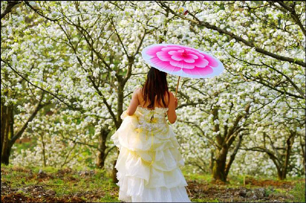 【春天,广西桂林灌阳县向您发出邀请!】我们在灌阳看梨花 - 游山玩水 - 通化生活社区 - 通化28生活网 th.28life.com