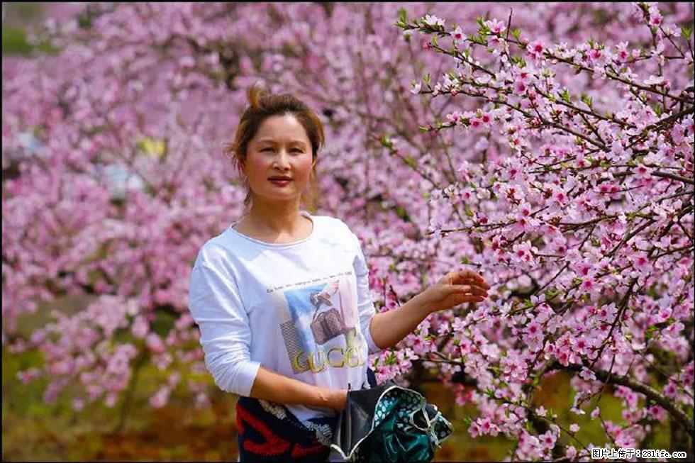 【春天,广西桂林灌阳县向您发出邀请!】官庄村有个醉美的桃花园 - 游山玩水 - 通化生活社区 - 通化28生活网 th.28life.com