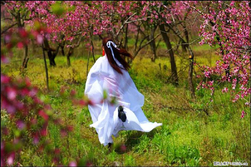 【春天,广西桂林灌阳县向您发出邀请!】官庄村有个醉美的桃花园 - 游山玩水 - 通化生活社区 - 通化28生活网 th.28life.com