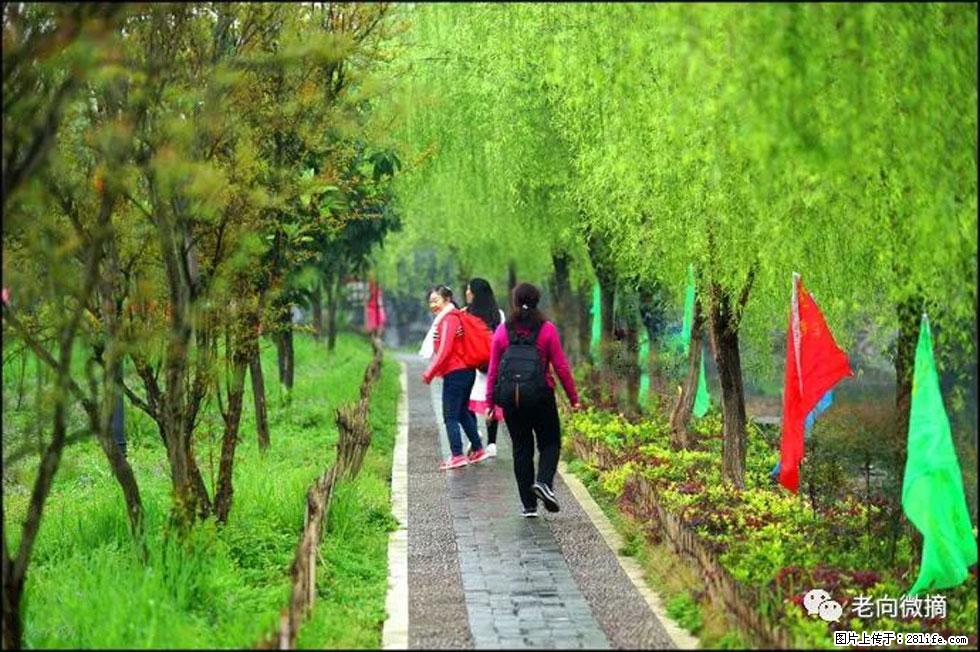 【春天,广西桂林灌阳县向您发出邀请!】江口老街又逢春 - 游山玩水 - 通化生活社区 - 通化28生活网 th.28life.com