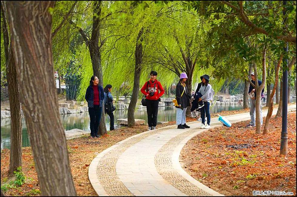 【春天,广西桂林灌阳县向您发出邀请!】江口老街又逢春 - 游山玩水 - 通化生活社区 - 通化28生活网 th.28life.com