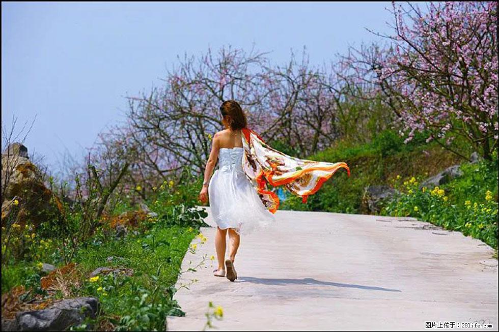 【春天,广西桂林灌阳县向您发出邀请!】望月岭上桃花开 - 游山玩水 - 通化生活社区 - 通化28生活网 th.28life.com