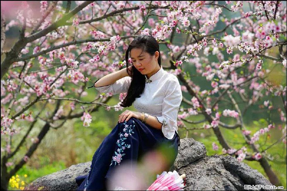 【春天,广西桂林灌阳县向您发出邀请!】望月岭上桃花开 - 游山玩水 - 通化生活社区 - 通化28生活网 th.28life.com