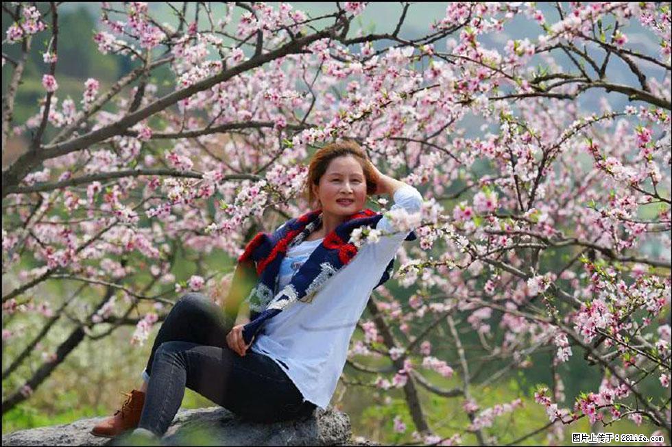 【春天,广西桂林灌阳县向您发出邀请!】望月岭上桃花开 - 游山玩水 - 通化生活社区 - 通化28生活网 th.28life.com
