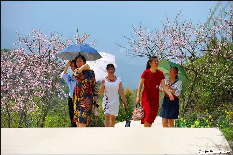 【春天,广西桂林灌阳县向您发出邀请!】望月岭上桃花开 - 游山玩水 - 通化生活社区 - 通化28生活网 th.28life.com