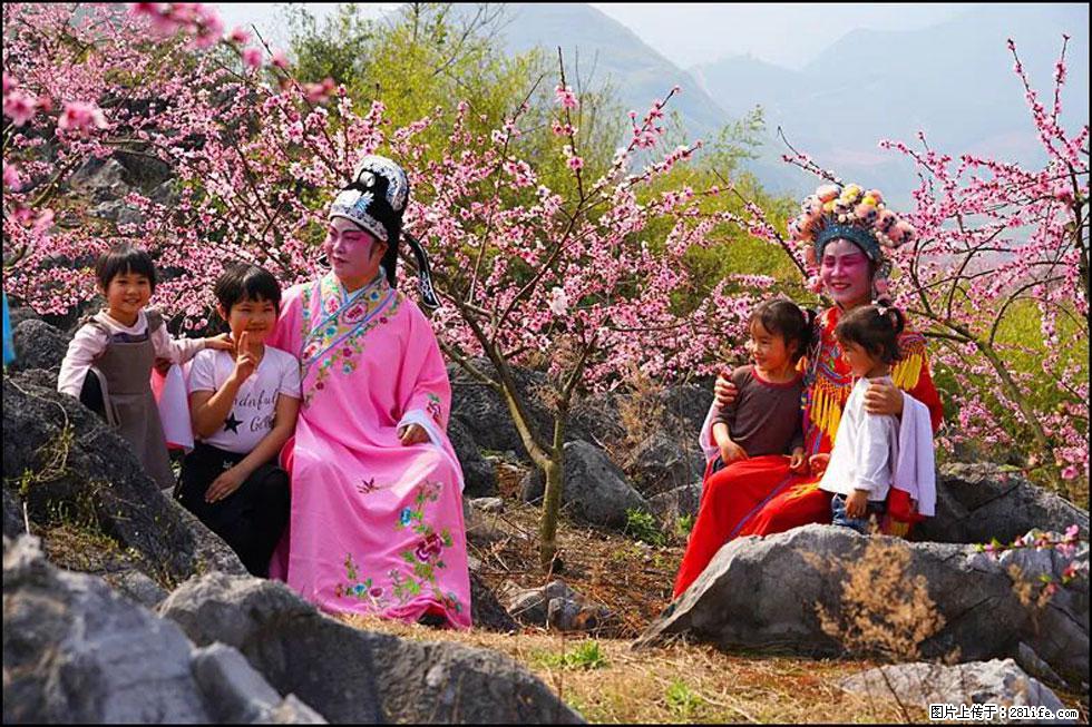 【春天,广西桂林灌阳县向您发出邀请!】望月岭上桃花开 - 游山玩水 - 通化生活社区 - 通化28生活网 th.28life.com