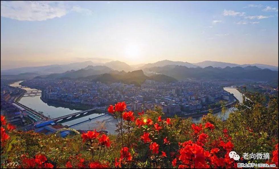 【春天,广西桂林灌阳县向您发出邀请!】登麒麟山,相约映山红 - 游山玩水 - 通化生活社区 - 通化28生活网 th.28life.com