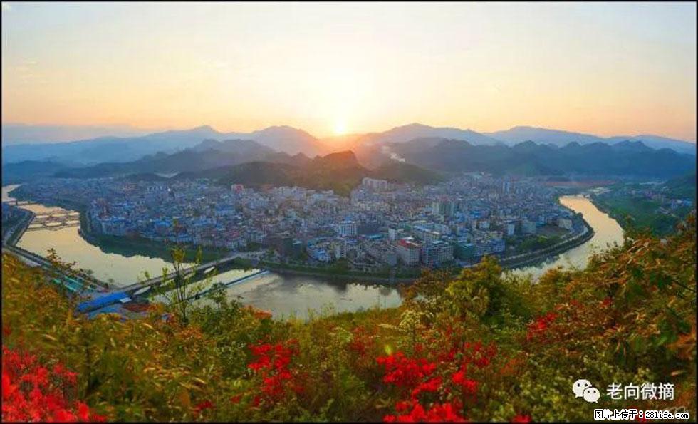 【春天,广西桂林灌阳县向您发出邀请!】登麒麟山,相约映山红 - 游山玩水 - 通化生活社区 - 通化28生活网 th.28life.com