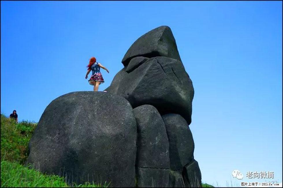 【春天,广西桂林灌阳县向您发出邀请!】宝盖山上映山红 - 游山玩水 - 通化生活社区 - 通化28生活网 th.28life.com