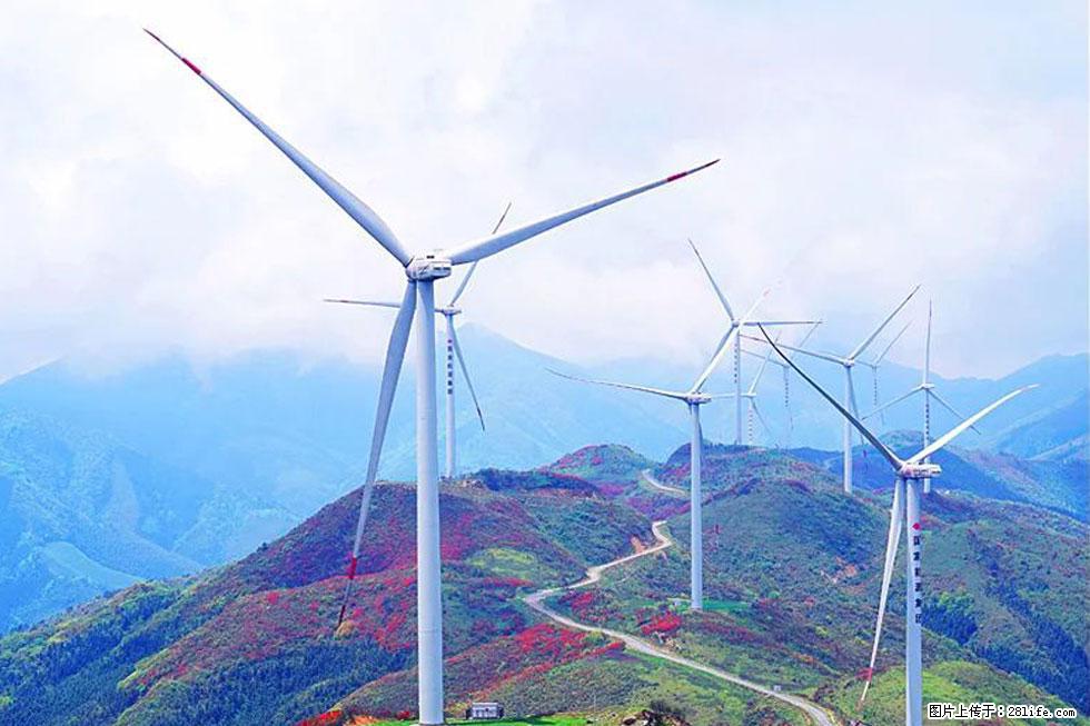 【春天,广西桂林灌阳县向您发出邀请!】春木界上映山红 - 游山玩水 - 通化生活社区 - 通化28生活网 th.28life.com