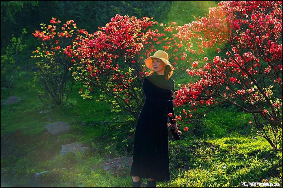 【春天,广西桂林灌阳县向您发出邀请!】春木界上映山红 - 游山玩水 - 通化生活社区 - 通化28生活网 th.28life.com