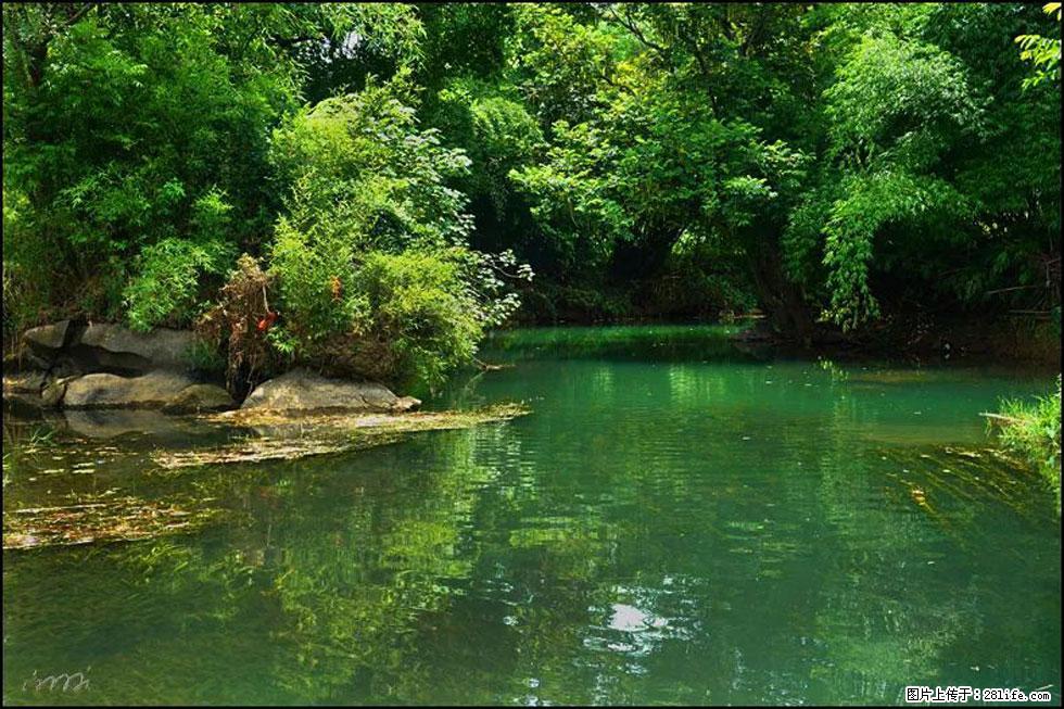 【春天,广西桂林灌阳县向您发出邀请!】如梦似幻莲溪庐 - 游山玩水 - 通化生活社区 - 通化28生活网 th.28life.com