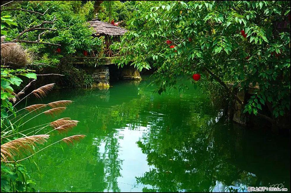 【春天,广西桂林灌阳县向您发出邀请!】如梦似幻莲溪庐 - 游山玩水 - 通化生活社区 - 通化28生活网 th.28life.com