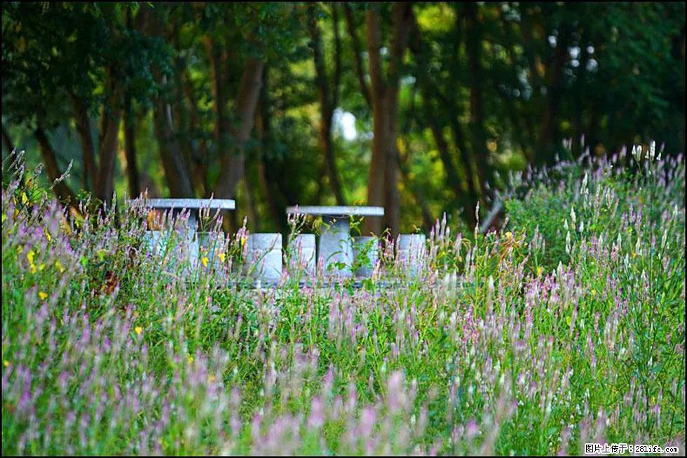 【春天，广西桂林灌阳县向您发出邀请！】熊家寨湿地公园 - 游山玩水 - 通化生活社区 - 通化28生活网 th.28life.com