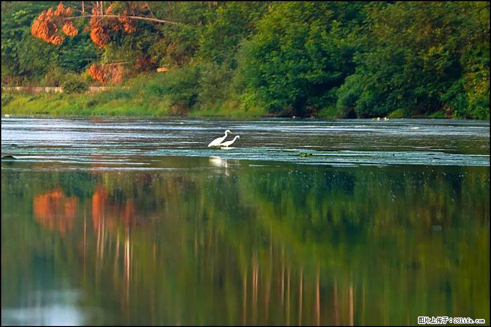 【春天，广西桂林灌阳县向您发出邀请！】熊家寨湿地公园 - 游山玩水 - 通化生活社区 - 通化28生活网 th.28life.com