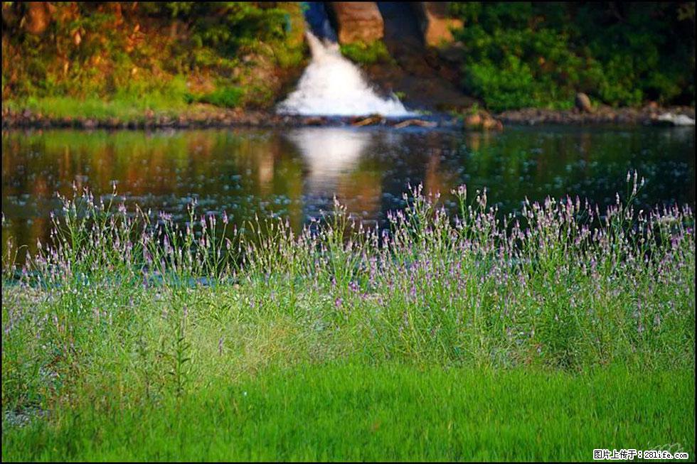 【春天，广西桂林灌阳县向您发出邀请！】熊家寨湿地公园 - 游山玩水 - 通化生活社区 - 通化28生活网 th.28life.com