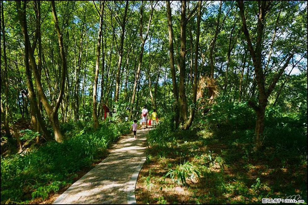 【春天，广西桂林灌阳县向您发出邀请！】熊家寨湿地公园 - 游山玩水 - 通化生活社区 - 通化28生活网 th.28life.com