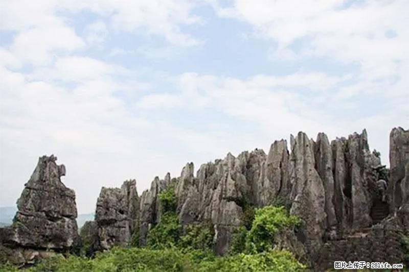 桂林旅游名城景点:灌阳文市石林 - 游山玩水 - 通化生活社区 - 通化28生活网 th.28life.com