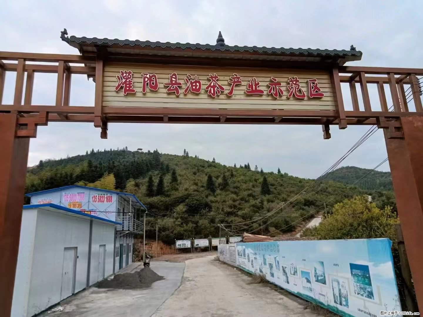 【灌阳县油茶产业示范区】一个有着充实的精神生活的人,对待身外之物自会有一种淡泊的态度 - 土特产 - 饮食特产 - 通化分类信息 - 通化28生活网 th.28life.com