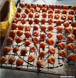 广西桂林平乐桥亭【柿饼之乡】2025年纯手工制作、无任何添加剂的第一批柿饼准备上市了，欢迎联系订购！ - 通化28生活网 th.28life.com