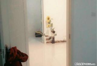 弘康丽城5楼85平1000元 不包取暖物业交得余热 - 通化28生活网 th.28life.com