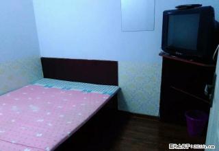 (单间出租)【丹丹公寓】东昌区民主路鸿圣喜利多附近单间公寓出租 - 通化28生活网 th.28life.com