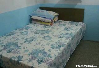 (单间出租)【丹丹公寓】东昌区国美电器二楼石墙单间公寓出租 - 通化28生活网 th.28life.com