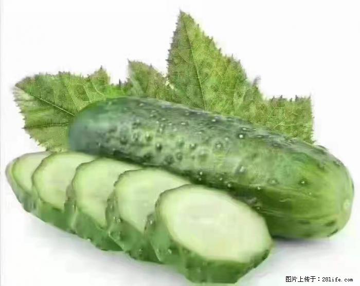 【生活小常识】吃黄瓜的好处 - 生活百科 - 通化生活社区 - 通化28生活网 th.28life.com