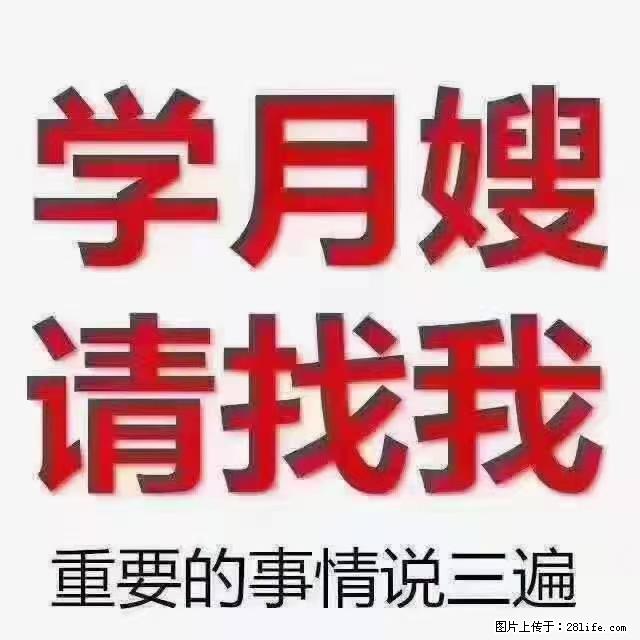 【招聘】月嫂,上海徐汇区 - 职场交流 - 通化生活社区 - 通化28生活网 th.28life.com
