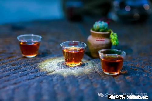 时间果百年古树2025年春红茶 - 购物交流 - 通化生活社区 - 通化28生活网 th.28life.com