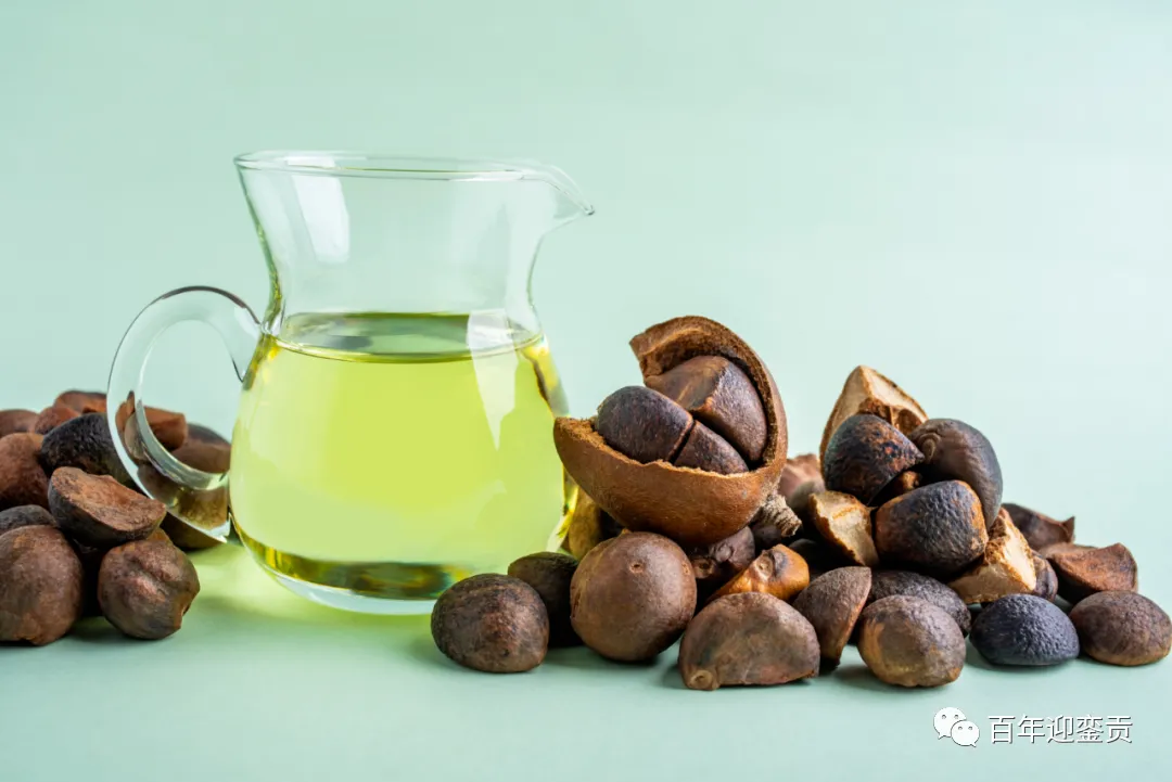 世界没有真相,只有认知,最好的食用油是中国的山茶油! - 通化生活资讯 - 通化28生活网 th.28life.com