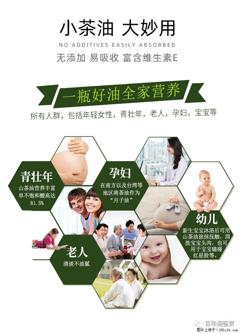 世界没有真相,只有认知,最好的食用油是中国的山茶油! - 通化生活资讯 - 通化28生活网 th.28life.com