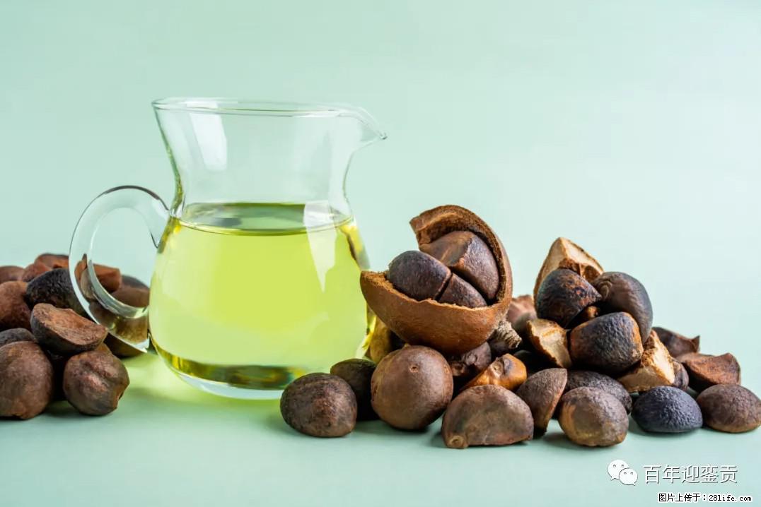 世界没有真相，只有认知，最好的食用油是中国的山茶油！ - 通化生活资讯 - 通化28生活网 th.28life.com