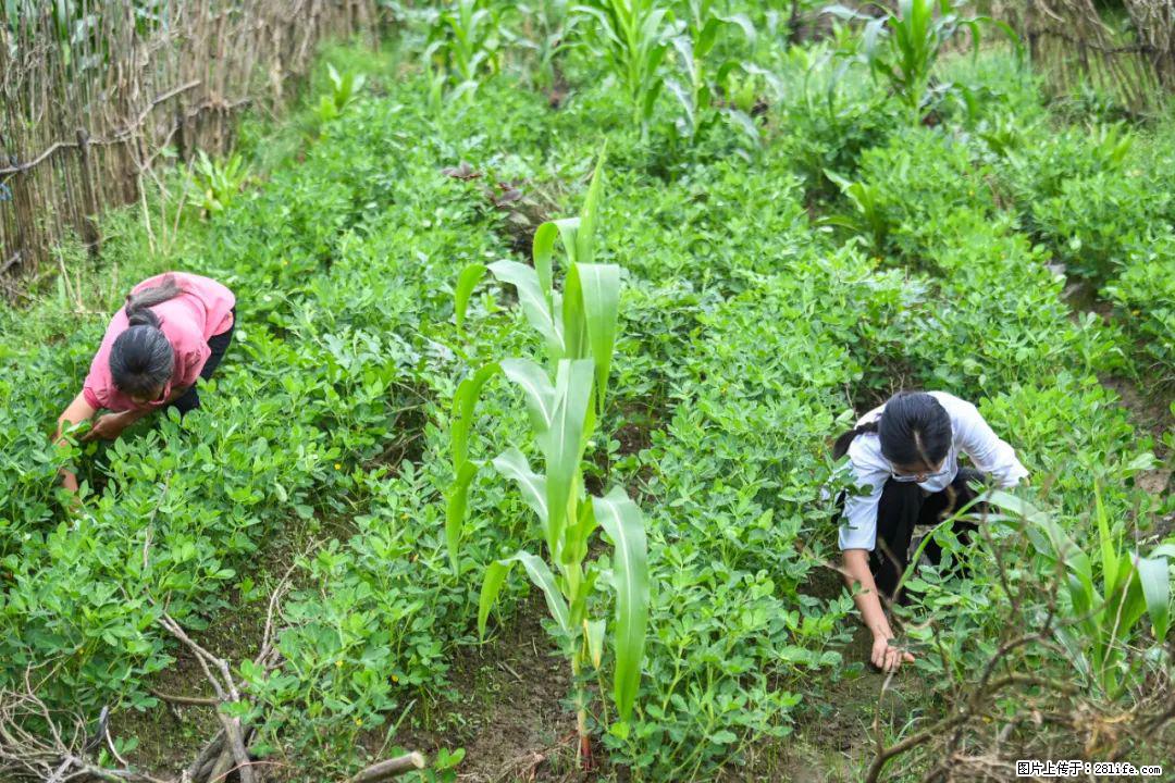 全网追的“扁担女孩”，找了一份暑假工，时薪12元 - 通化生活资讯 - 通化28生活网 th.28life.com
