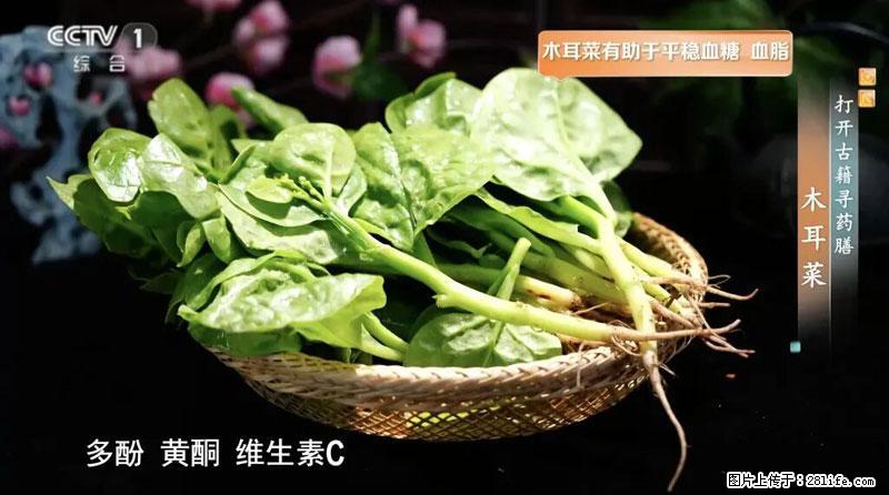 比牛奶补钙还厉害!凉血解毒、稳血糖...这菜冬天必吃,很多人却当草 - 通化生活资讯 - 通化28生活网 th.28life.com