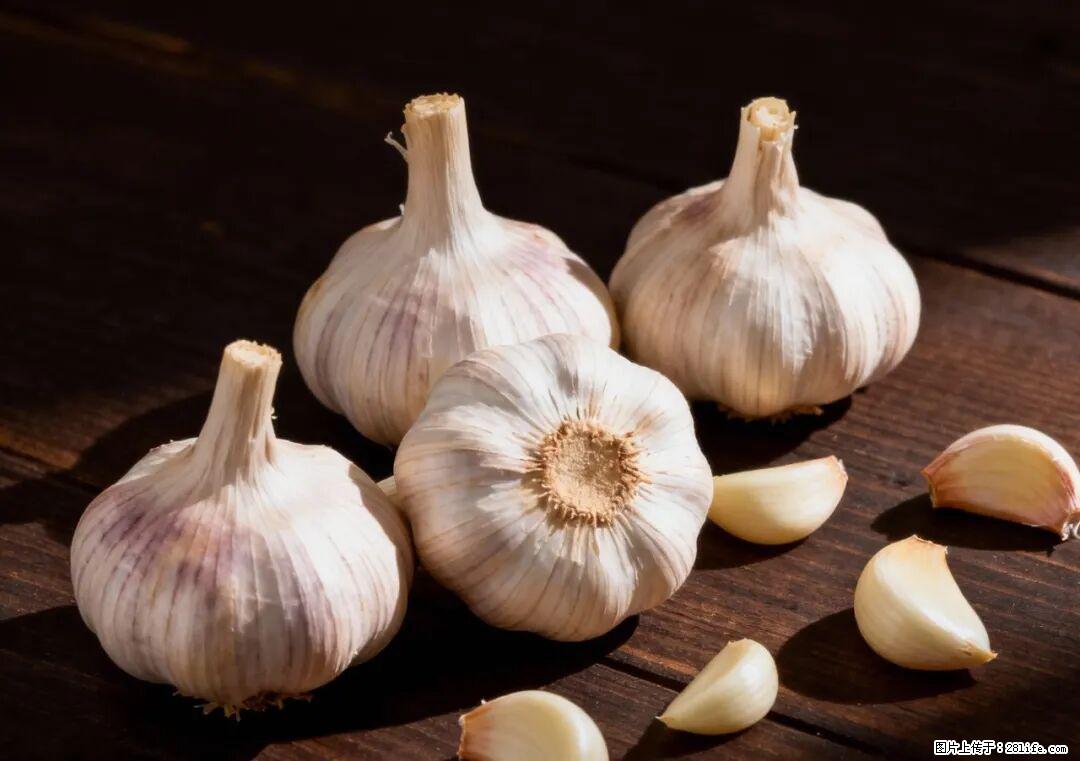 关于大蒜，除了“天然抗生素”，这4个谣言更该警惕! - 通化生活资讯 - 通化28生活网 th.28life.com