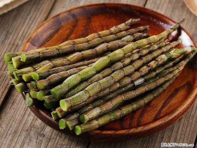 铁皮石斛的作用与功能主治 - 通化生活资讯 - 通化28生活网 th.28life.com