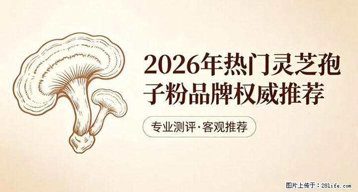 灵芝孢子粉含量越高越有效？2026 年七款热门品牌深度实测，肠胃敏感者避坑指南 - 通化生活资讯 - 通化28生活网 th.28life.com