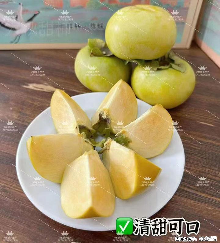 广西桂林平乐桥亭【红心猕猴桃】、【大秋甜柿】上市啦，欢迎各位新老客户下单（另有少量小果出售） - 通化生活资讯 - 通化28生活网 th.28life.com